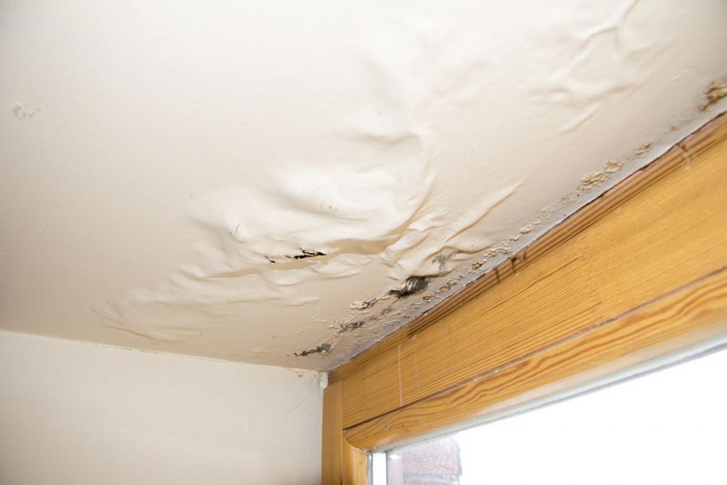 Ceiling Repairs, Jupiter Pro Painters & Home Remodeling